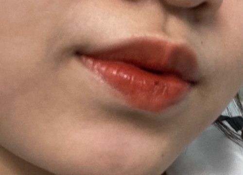 #25 Final Note - Bbia Last Velvet Lip Tint photo review